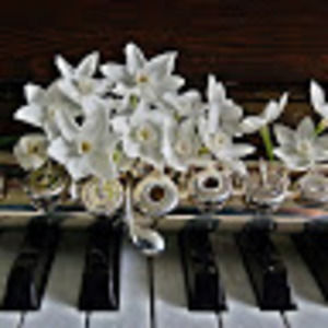 Meet your Posher, Treble